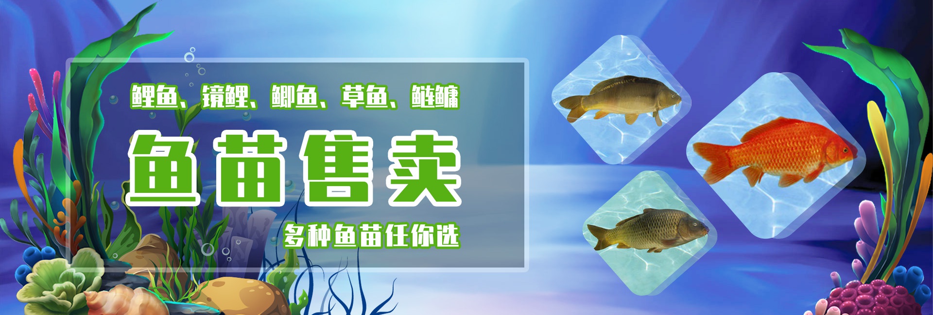&#21326;&#20307;&#20250;&#104;&#116;&#104;