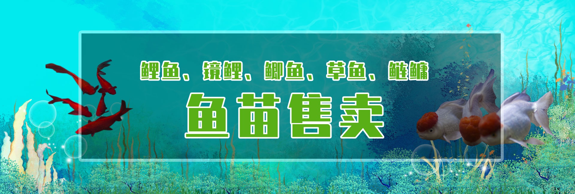 &#21326;&#20307;&#20250;&#104;&#116;&#104;