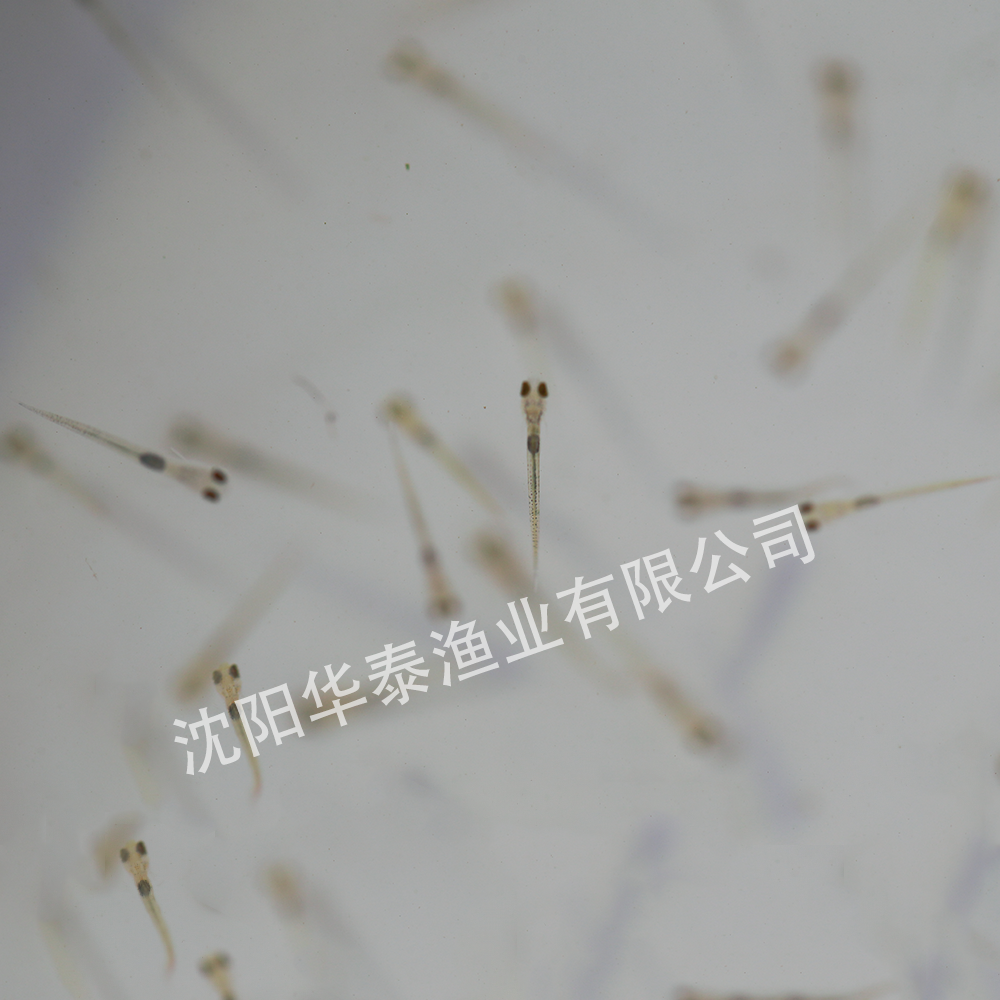 &#21326;&#20307;&#20250;&#104;&#116;&#104;