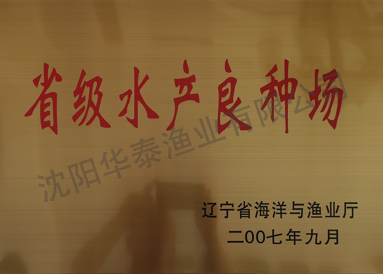 &#21326;&#20307;&#20250;&#104;&#116;&#104;