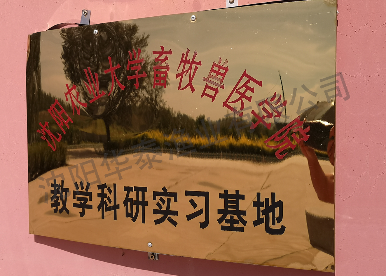&#21326;&#20307;&#20250;&#104;&#116;&#104;